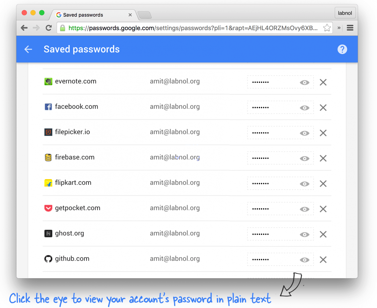 password manager pro chrome extension