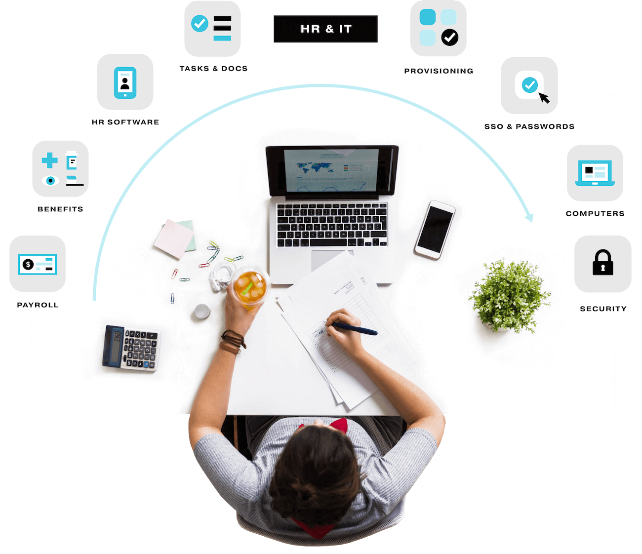 rippling main interface